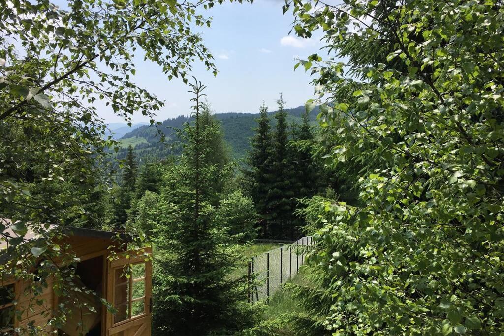 Mountain Chalet - Cabana La Muntele Baisorii Muntele Cacovei  Exterior foto